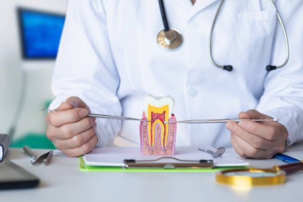 Best Emergency Care for Gum Disease in Ames Lake, WA